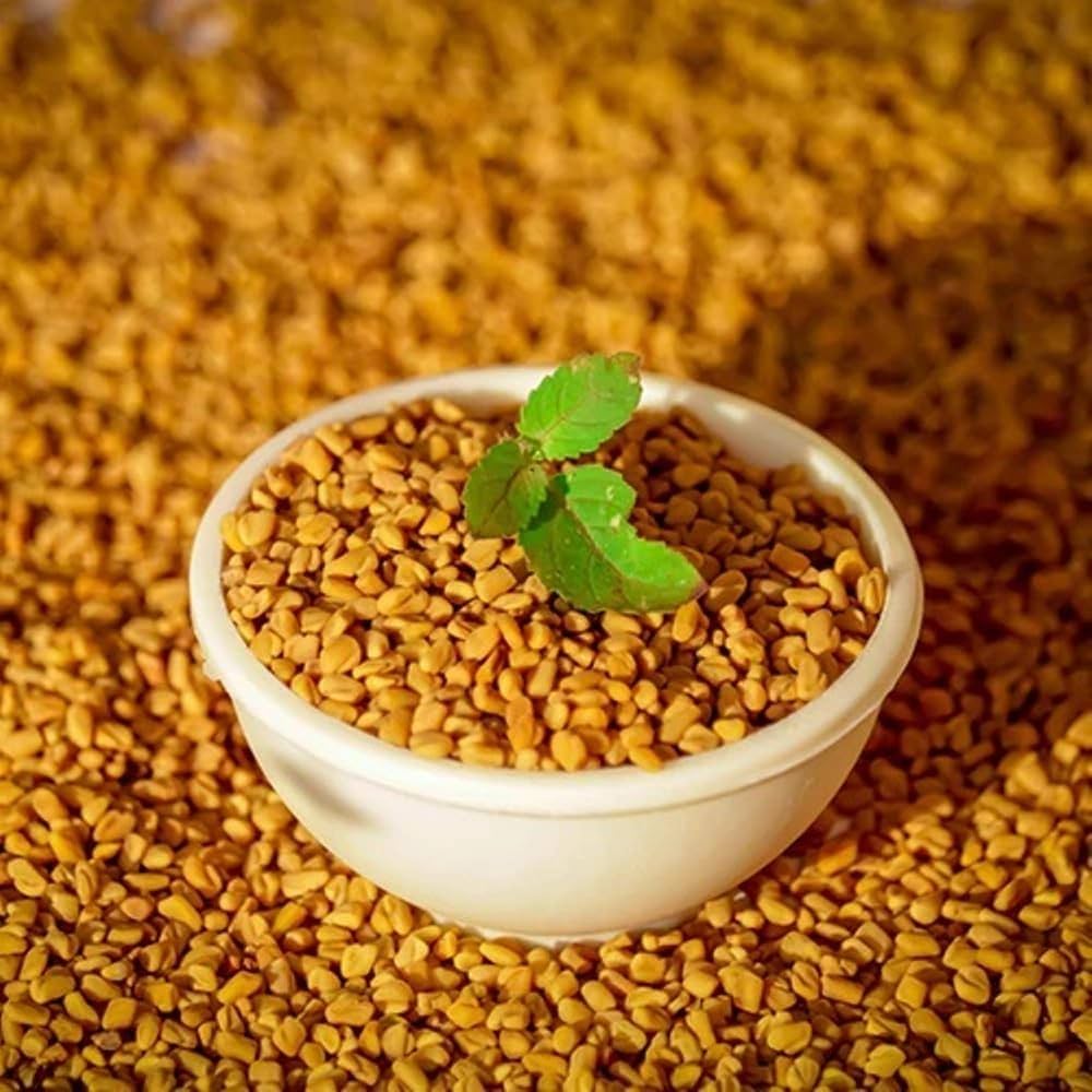 Fenugreek seeds in a white bowl – natural testosterone and urinary support ingredient in Manjuba Caps